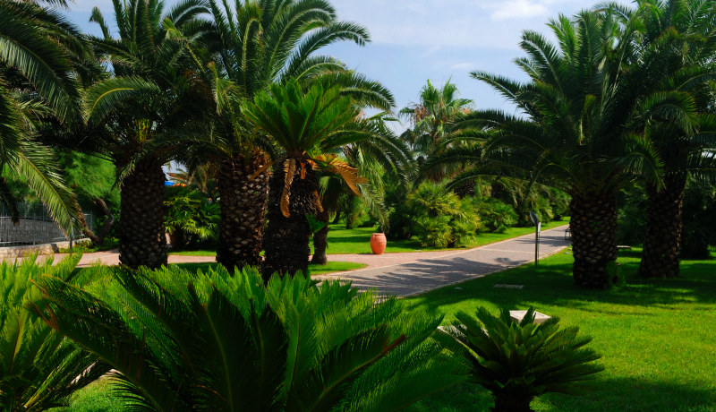 Thumbnail GranSerena Hotel